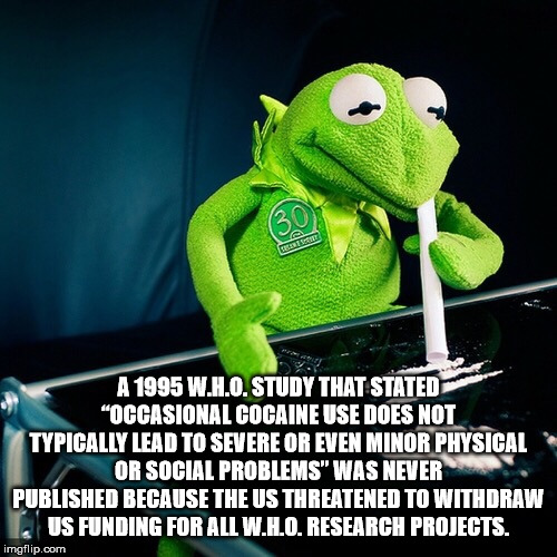 kermit cocaine - A 1995 W.H.O.Study That Stated "Occasional Cocaine Use Does Not Typically Lead To Severe Or Even Minor Physical Or Social Problems" Was Never Published Because The Us Threatened To Withdraw Aus Funding For All W.L.O. Research Projects. im