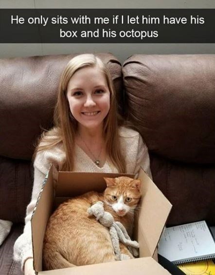 photo caption - He only sits with me if I let him have his box and his octopus