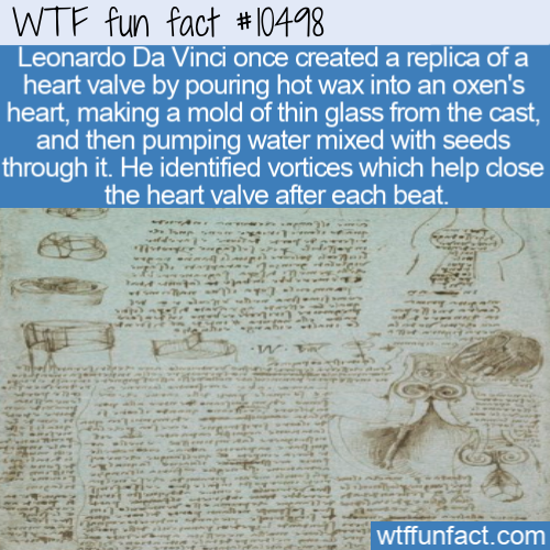 newspaper - Wtf fun fact Leonardo Da Vinci once created a replica of a heart valve by pouring hot wax into an oxen's heart, making a mold of thin glass from the cast, and then pumping water mixed with seeds through it. He identified vortices which help cl