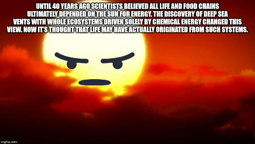 supra tk society - Until 40 Years Ago Scientists Believed All Life And Food Chains Ultimately Depended On The Sun For Energy. The Discovery Of Deep Sea Vents With Whole Ecosystems Driven Solely By Chemical Energy Changed This View.Now It'S Thought That Li