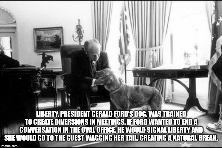 liberty gerald ford - Liberty, President Gerald Ford'S Dog, Was Trained To Create Diversions In Meetings. If Ford Wanted To Enda Conversation In The Oval Office, He Would Signal Liberty And She Would Go To The Guest Wagging Her Tail, Creating A Natural Br