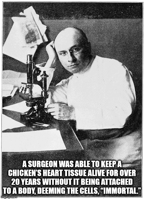 alexis carrel nazi - A Surgeon Was Able To Keep A Chicken'S Heart Tissue Alive For Over 20 Years Without It Being Attached To A Body, Deeming The Cells, Immortal." imgflip.com