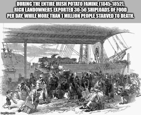 potato famine irish - During The Entire Irish Potato Famine 18451852, Rich Landowners Exported 3050 Shiploads Of Food Per Day. While More Than 1 Million People Starved To Death. Che imgflip.com