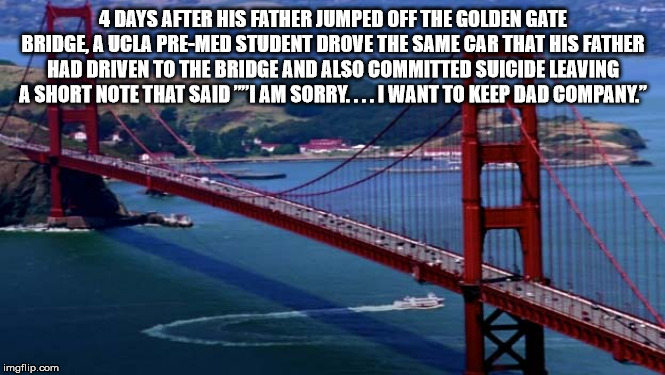 golden state bridge full - 4 Days After His Father Jumped Off The Golden Gate Bridge, A Ucla PreMed Student Drove The Same Car That His Father Had Driven To The Bridge And Also Committed Suicide Leaving A Short Note That Said "I Am Sorry. ... I Want To Ke