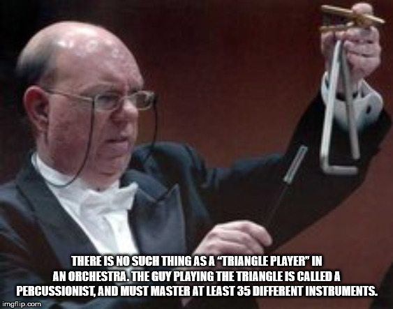 photo caption - There Is No Such Thing As A 'Triangle Player" In An Orchestra. The Guy Playing The Triangle Is Called A Percussionist, And Must Master At Least 35 Different Instruments. imgflip.com