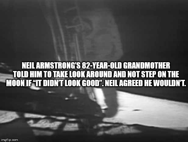 st. louis blues - Neil Armstrong'S 82YearOld Grandmother Tom Him To Take Look Around And Not Step On The Moon Jf "It Didn'T Look Good". Neil Agreed He Wouldn'T imgflip.com