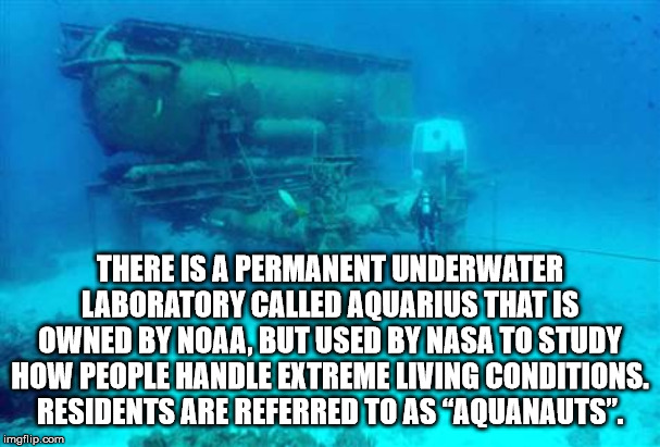 ajax spray and wipe - There Is A Permanent Underwater Laboratory Called Aquarius That Is Owned By Noaa, But Used By Nasa To Study How People Handle Extreme Living Conditions. Residents Are Referred To As Aquanauts". imgflip.com