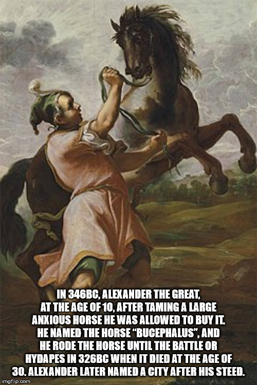 poster - In 346BC, Alexander The Great. At The Age Of 10, After Taming A Large Anxious Horse He Was Allowed To Buy It He Named The Horse Bucephalus", And He Rode The Horse Until The Battle Or Hydapes In 326BC When It Died At The Age Of 30. Alexander Later