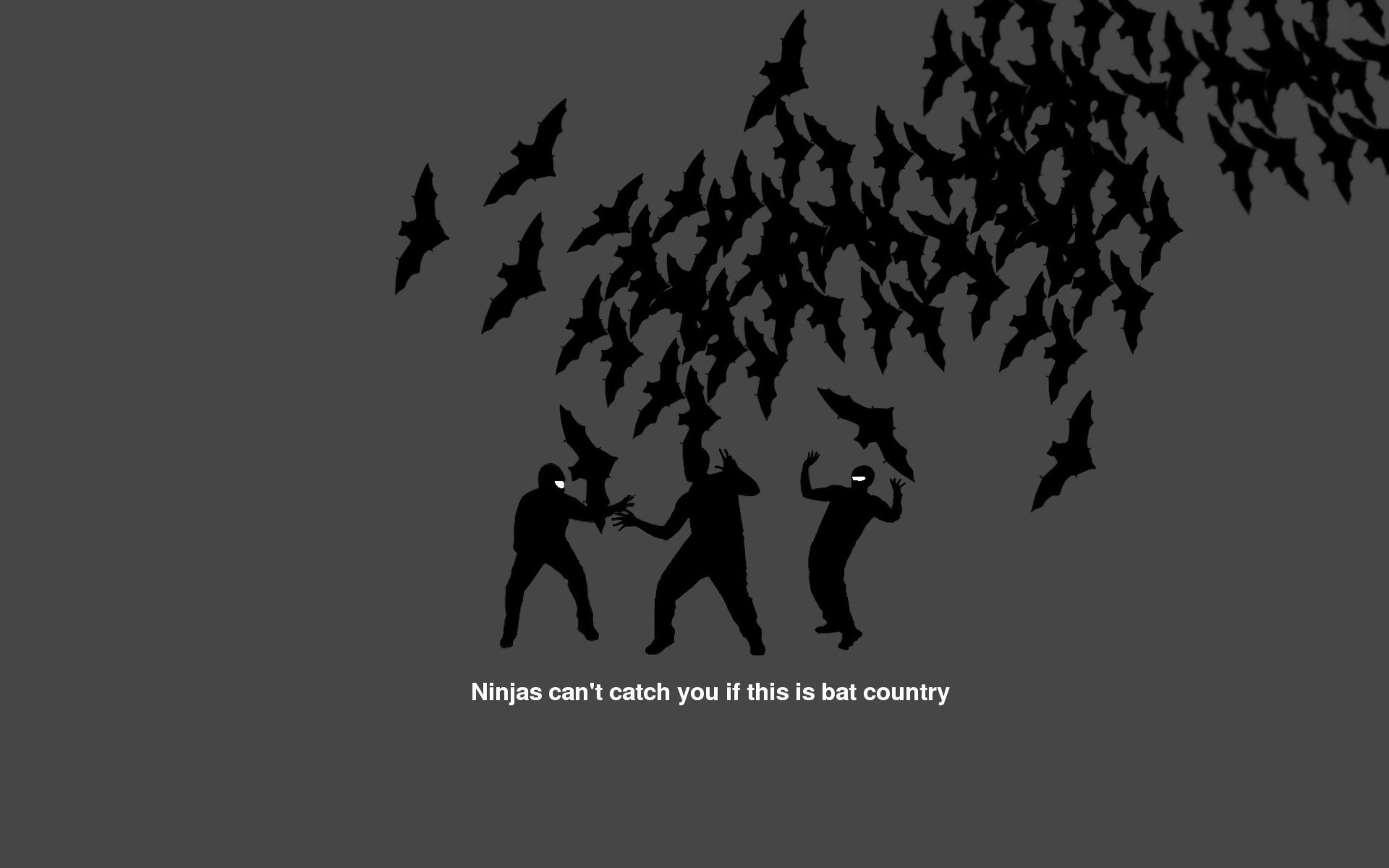 background meme - Ninjas can't catch you if this is bat country