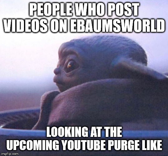 mijas - People Who Post Videos On Ebaumsworld Looking At The Upcoming Youtube Purge imgflip.com