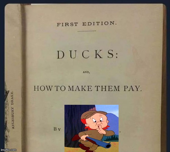 picture frame - First Edition. Ducks And, How To Make Them Pay Aylesbury Drake By imgflip.com