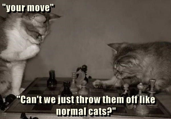 "your move" "Can't we just throw them off normal cats?"