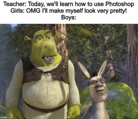 shrek and donkey face swap - Teacher Today, we'll learn how to use Photoshop Girls Omg I'll make myself look very pretty! Boys imgflip.com
