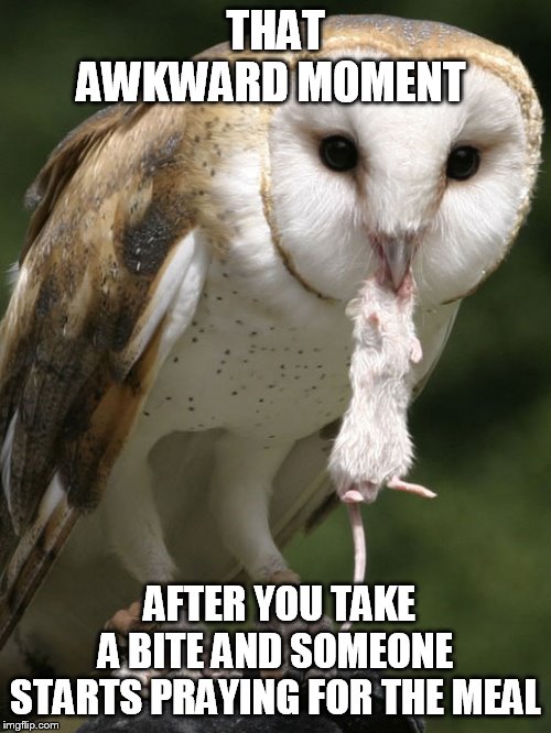 barn owl - That Awkward Moment After You Take A Bite And Someone Starts Praying For The Meal imgflip.com