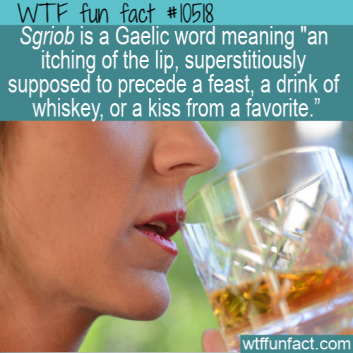 40 Fun Facts For You Cram In Your Cranium Wow Gallery