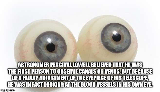 close up - Astronomer Percival Lowell Believed That He Was The First Person To Observe Canals On Venus, But Because Of A Fauty Adjustment Of The Eyepiece Of His Telescope He Was In Fact Looking At The Blood Vessels In His Own Eye imgflip.com