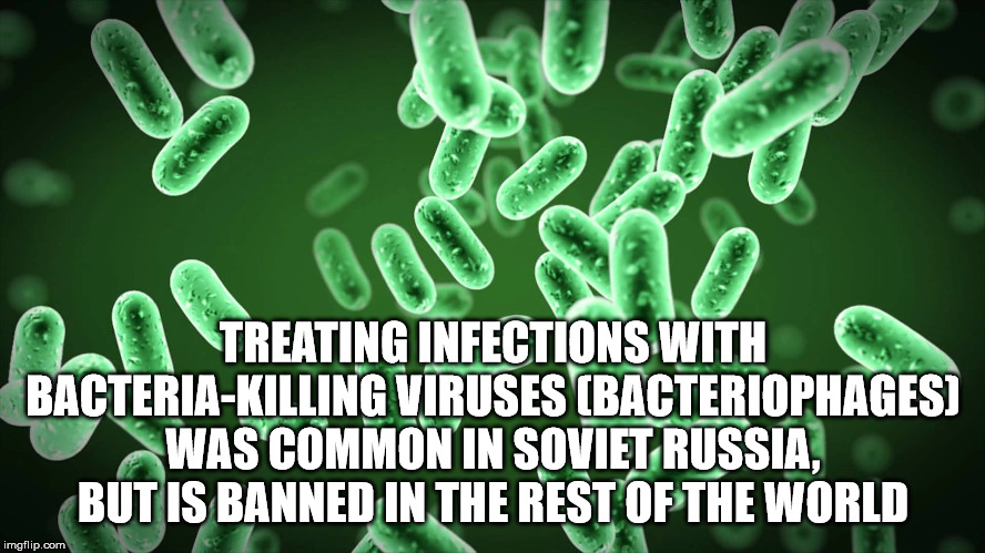 Treating Infections With BacteriaKilling Viruses Bacteriophages Was Common In Soviet Russia, But Is Banned In The Rest Of The World imgflip.com