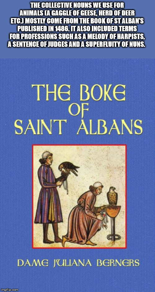 cartoon - The Collective Nouns We Use For Animals A Gaggle Of Geese, Herd Of Deer Etc. Mostly Come From The Book Of St Alban'S Published In 1486. It Also Included Terms For Professions Such As A Melody Of Harpists, A Sentence Of Judges And A Superfluity O