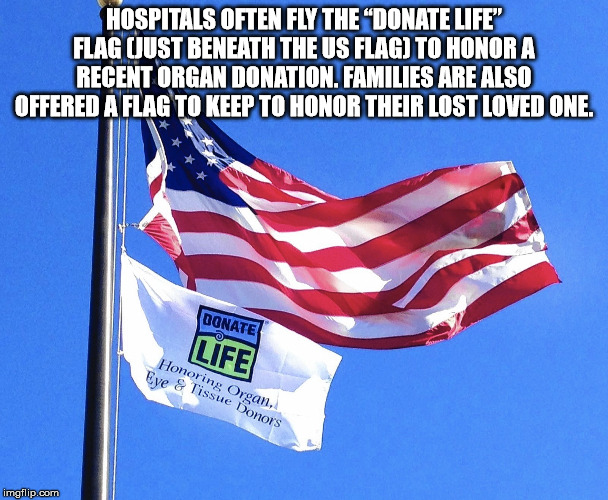 donate life - Hospitals Often Fly The Donate Life" Flag Just Beneath The Us Flag To Honor A Recent Organ Donation. Families Are Also Offered A Flag To Keep To Honor Their Lost Loved One. Donate Life Honoring Organ. Eve & Tissue Donors imgflip.com