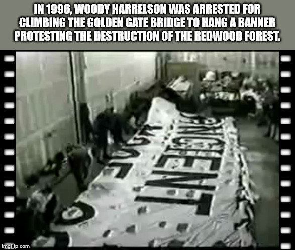 monochrome - In 1996, Woody Harrelson Was Arrested For Climbing The Golden Gate Bridge To Hang A Banner Protesting The Destruction Of The Redwood Forest. Iiiiiii Iiiii imgflip.com