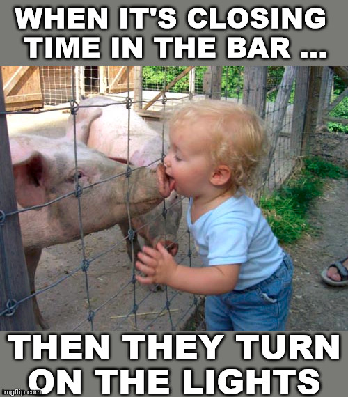 origin of swine flu - When It'S Closing Time In The Bar ... Timeln The Bar Then They Turn On The Lights imgflip.com