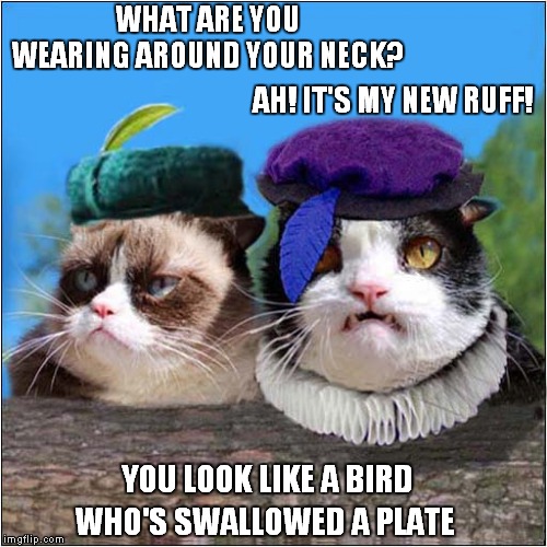 What Are You Wearing Around Your Neck? Ah! It'S My New Ruff! You Look A Bird Who'S Swallowed A Plate imaflip.com
