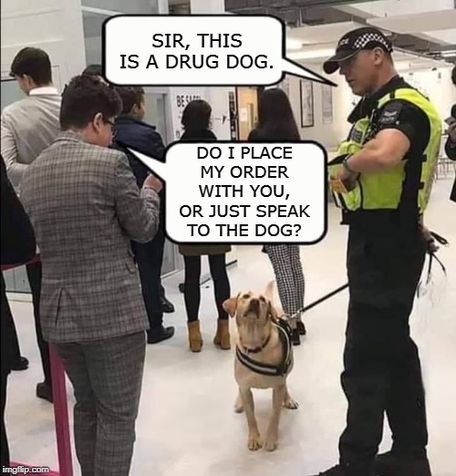 photo caption - Sir, This Is A Drug Dog. Do I Place My Order With You, Or Just Speak To The Dog?