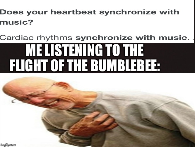 photo caption - Does your heartbeat synchronize with music? Cardiac rhythms synchronize with music. Me Listening To The Flight Of The Bumblebee ingilip.com