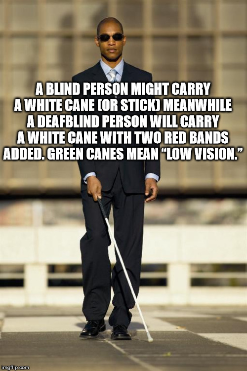 blind meme - A Blind Person Might Carry A White Cane Cor Stick Meanwhile A Deafblind Person Will Carry A White Cane With Two Red Bands Added. Green Canes Mean "Low Vision." imgflip.com