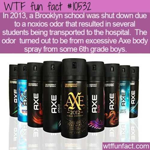 best axe body spray - Wtf fun fact In 2013, a Brooklyn school was shut down due to a noxios odor that resulted in several students being transported to the hospital. The odor turned out to be from excessive Axe body spray from some 6th grade boys. Ee Bpa 