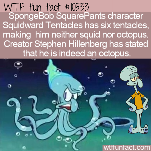 squidward octopus - Wtf fun fact SpongeBob SquarePants character Squidward Tentacles has six tentacles, making him neither squid nor octopus. Creator Stephen Hillenberg has stated that he is indeed an octopus. wtffunfact.com