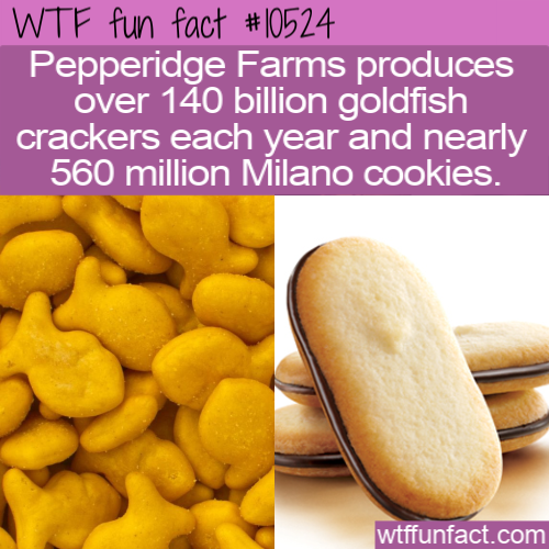 goldfish crackers - Wtf fun fact Pepperidge Farms produces over 140 billion goldfish crackers each year and nearly 560 million Milano cookies. wtffunfact.com