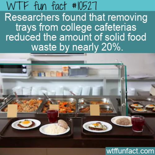 food serving line - Wtf fun fact Researchers found that removing trays from college cafeterias reduced the amount of solid food waste by nearly 20%. wtffunfact.com