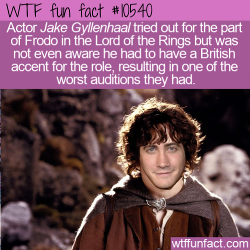 frodo baggins two towers - Wtf fun fact Actor Jake Gyllenhaal tried out for the part of Frodo in the Lord of the Rings but was not even aware he had to have a British accent for the role, resulting in one of the worst auditions they had. wtffunfact.com