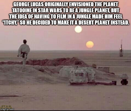 star wars tatooine - George Lucas Originally Envisioned The Planet Tatoo Ine In Star Wars To Be A Jungle Planet But The Idea Of Having To Film In A Jungle Made Him Feel "Itchy" So He Decided To Make It A Desert Planet Instead. Star imgflip.com