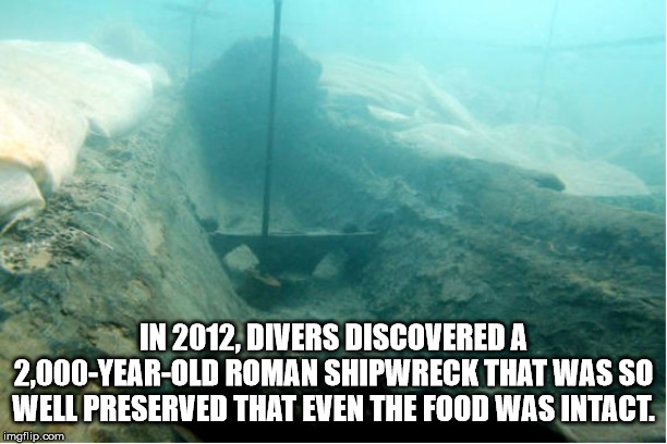 ancient greek ships - In 2012, Divers Discovered A 2,000YearOld Roman Shipwreck That Was So Well Preserved That Even The Food Was Intact. imgflip.com