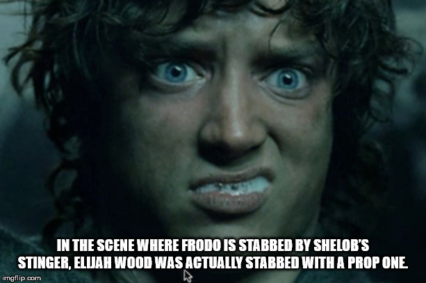 lurd of teh reings gif - In The Scene Where Frodo Is Stabbed By Shelob'S Stinger. Eldah Wood Was Actually Stabbed With A Prop One imgflip.com