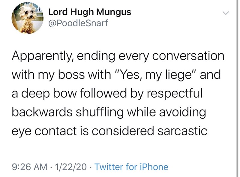 angle - Lord Hugh Mungus Apparently, ending every conversation with my boss with "Yes, my liege" and a deep bow ed by respectful backwards shuffling while avoiding eye contact is considered sarcastic 12220 Twitter for iPhone