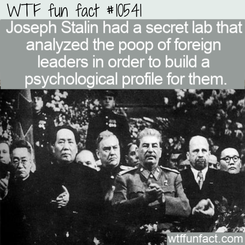 mao and stalin - Wtf fun fact Joseph Stalin had a secret lab that analyzed the poop of foreign leaders in order to build a psychological profile for them. wtffunfact.com