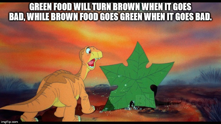 cartoon - Green Food Will Turn Brown When It Goes Bad, While Brown Food Goes Green When It Goes Bad. imgflip.com