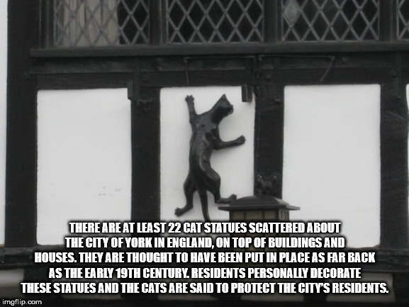 monochrome photography - There Are At Least 22 Cat Statues Scattered About The City Of York In England, On Top Of Buildings And Houses. They Are Thought To Have Been Put In Place Astar Back As The Early 19TH Century Residents Personally Decorate These Sta