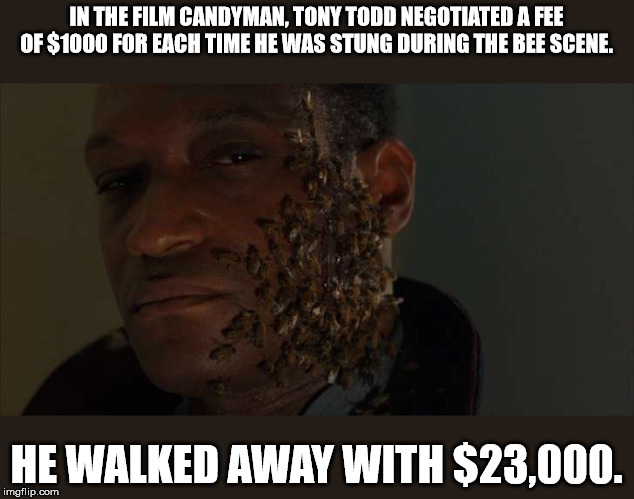 catwalk barcelona - In The Film Candyman. Tony Todd Negotiated A Fee Of $1000 For Each Time He Was Stung During The Bee Scene. He Walked Away With $23,000. imgflip.com