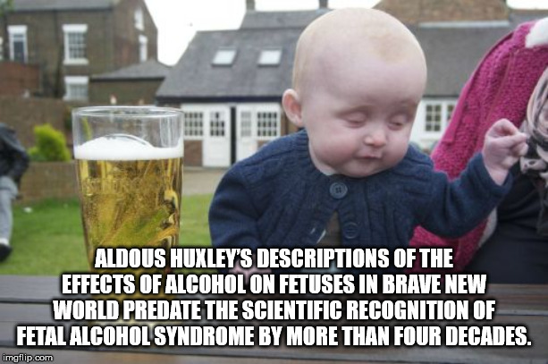 drunk kids - Be Aldous Huxley'S Descriptions Of The Effects Of Alcoholon Fetuses In Brave New World Predate The Scientific Recognition Of Fetal Alcohol Syndrome By More Than Four Decades. imgflip.com