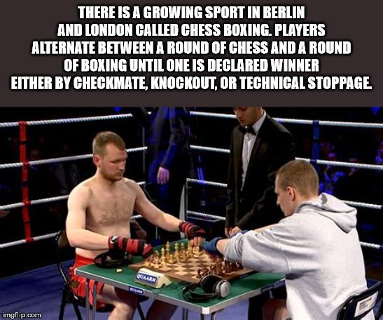 chess boxing - There Is A Growing Sport In Berlin And London Called Chess Boxing. Players Alternate Between A Round Of Chess And A Round Of Boxing Until One Is Declared Winner Either By Checkmate, Knockout, Or Technical Stoppage imgflip.com