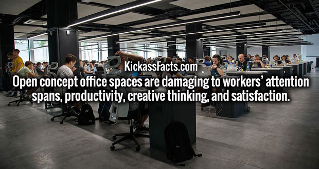 facebook working conditions - en Kickassfacts.com Open concept office spaces are damaging to workers' attention spans, productivity, creative thinking, and satisfaction.