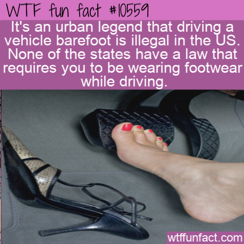 outdoor shoe - Wtf fun fact It's an urban legend that driving a vehicle barefoot is illegal in the Us. None of the states have a law that requires you to be wearing footwear while driving. wtffunfact.com