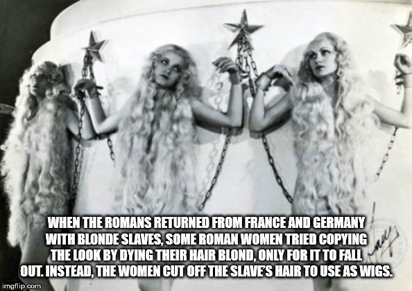 human - When The Romans Returned From France And Germany With Blonde Slaves, Some Roman Women Tried Copying The Look By Dying Their Hair Blond, Only For It To Fall Out. Instead, The Women Cut Off The Slaves Hair To Use As Wigs. imgflip.com