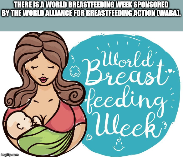 cartoon - There Is A World Breastfeeding Week Sponsored By The World Alliance For Breastfeeding Action Cwaba. 2 World Breasts. feeding Week imgflip.com