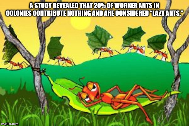 cartoon - A Study Revealed That 20% Of Worker Ants In Colonies Contribute Nothing And Are Considered "Lazy Ants." imgflip.com
