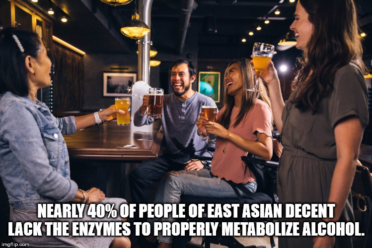 people drinking free - Nearly 40% Of People Of East Asian Decent Lack The Enzymes To Properly Metabolize Alcohol. imgflip.com